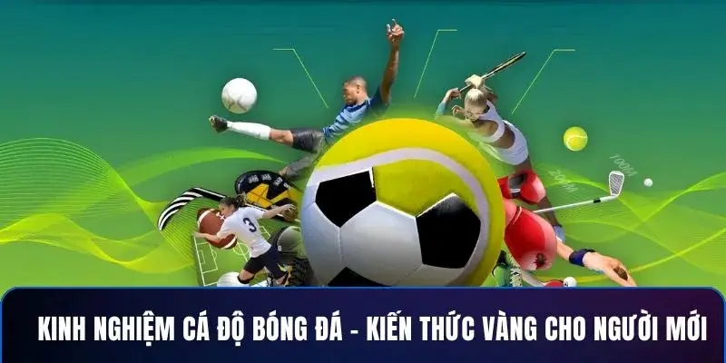Chiến thuật cá cược thể thao hiệu quả tại Bet8s 